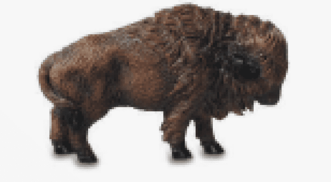 Aimant bison