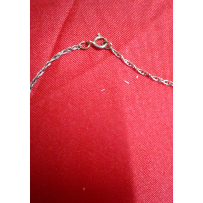 Collier Loup et ces 2 plumes