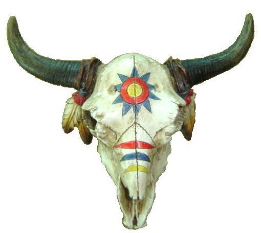 Crâne de bison peinture de guerre