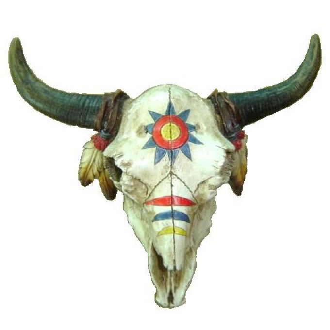 Crâne de bison peinture de guerre