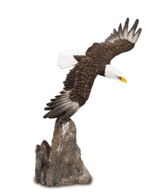 Aigle planant