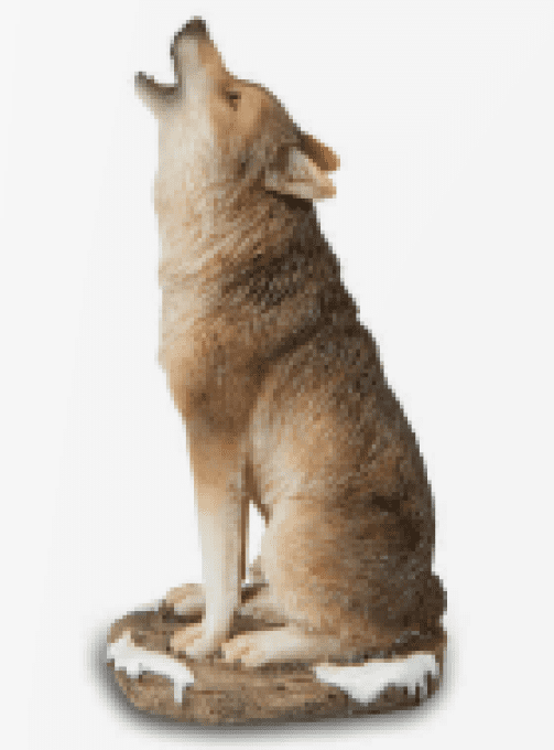 Loup assis hurlant MM