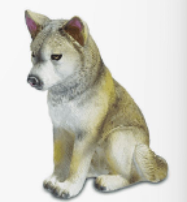 Bébé loup gris